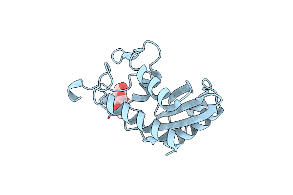 4P27 image
