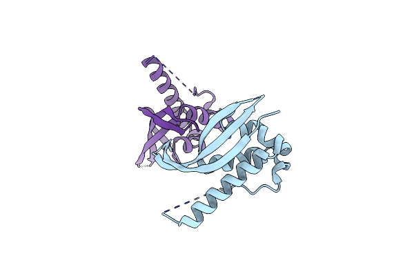 4P2I image