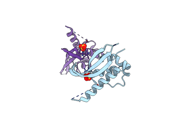 4P2J image