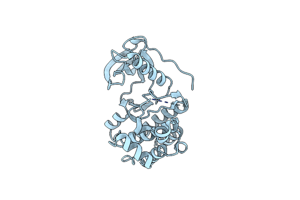 4P2K image