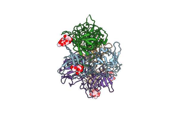 4P2N image