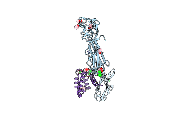 4P2Y image