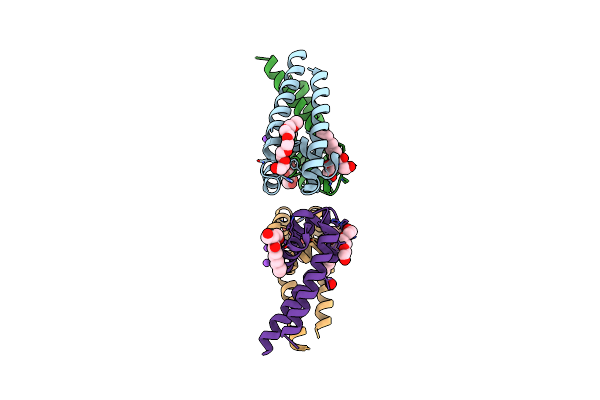 4P2Z image