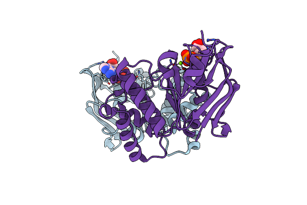 4P31 image