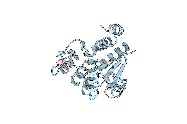4P35 image