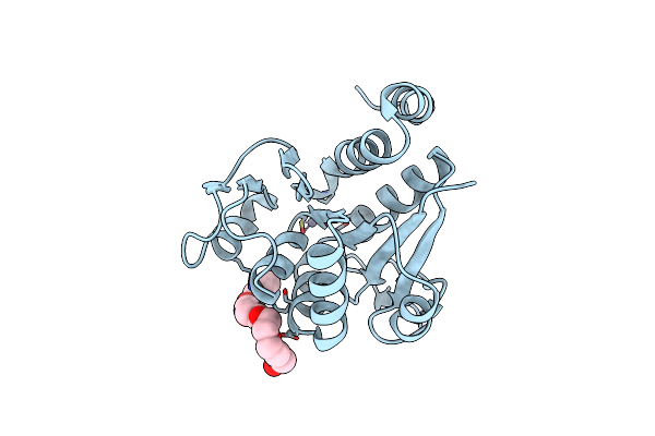 4P36 image