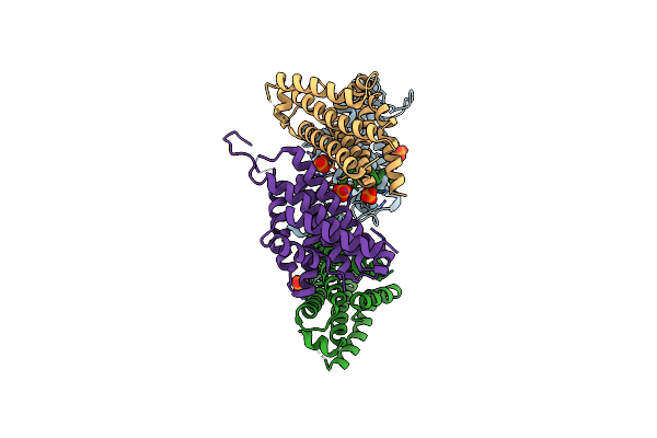 4P3G image