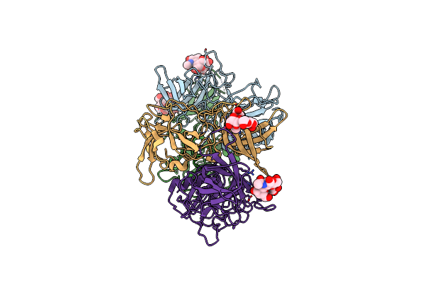 4P3I image