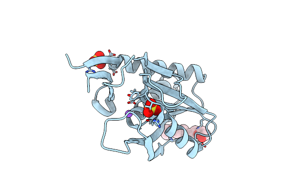 4P3K image