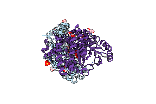 4P3M image