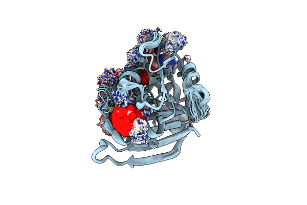 4P3Q image