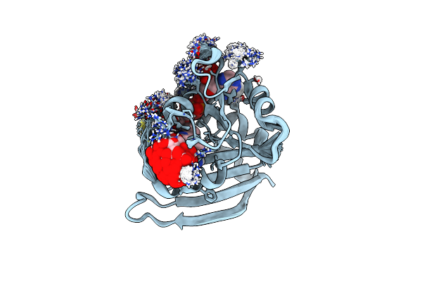 4P3R image