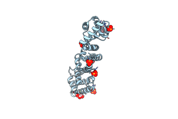 4P3Z image