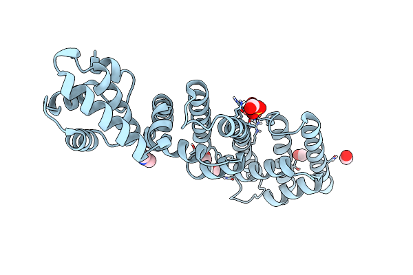 4P40 image