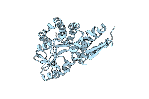 4P47 image