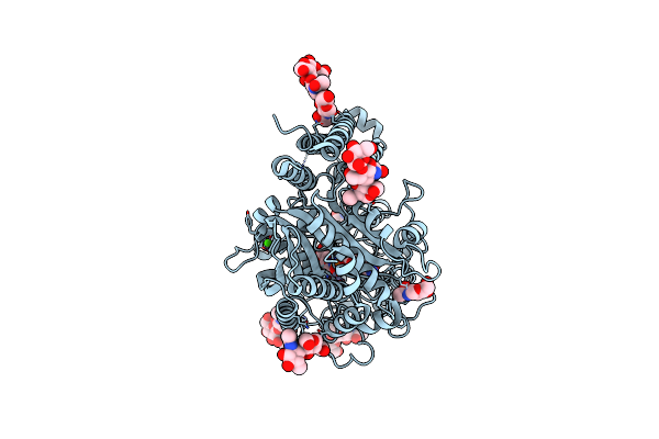 4P4B image