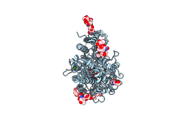4P4E image
