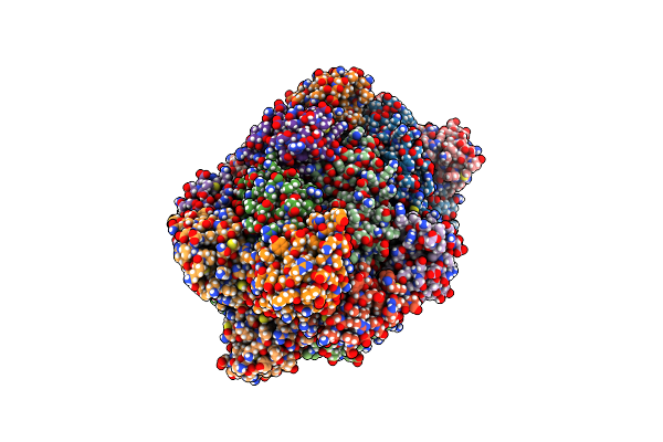 4P4H image