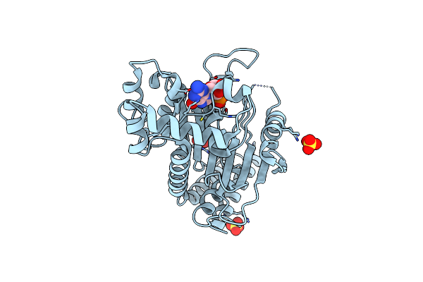 4P4T image