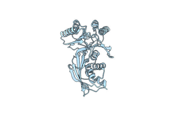 4P52 image