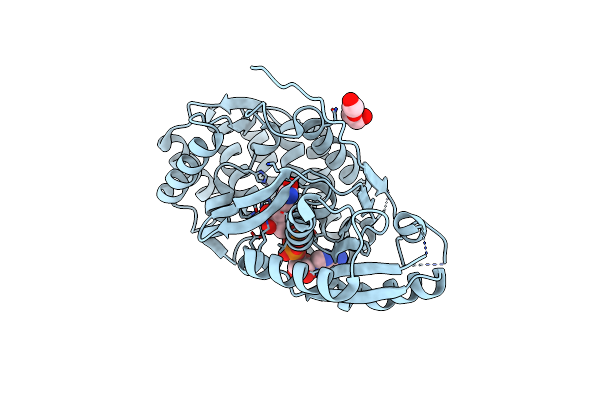 4P53 image