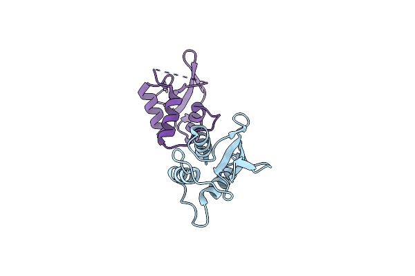 4P55 image