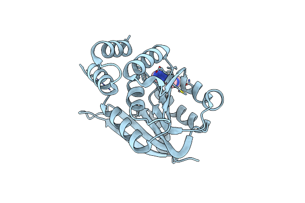 4P58 image