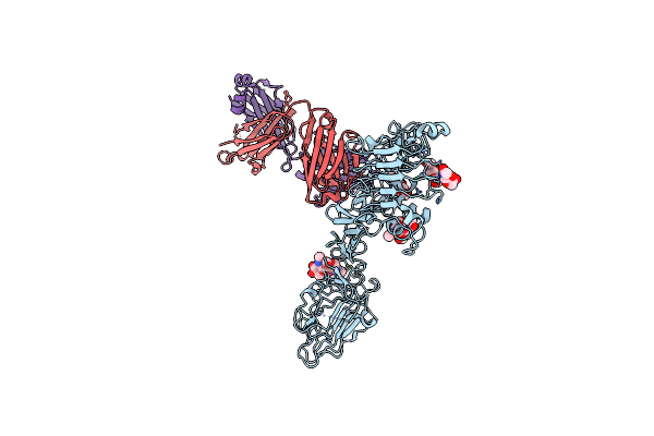 4P59 image