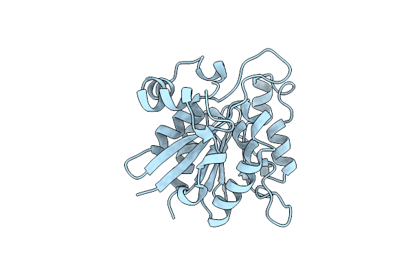 4P5P image