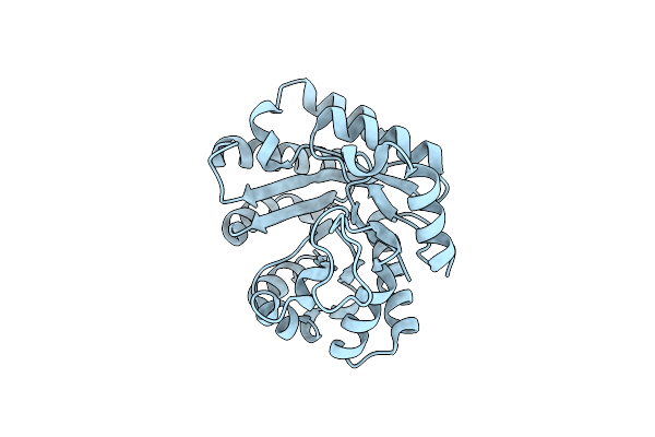 4P5U image