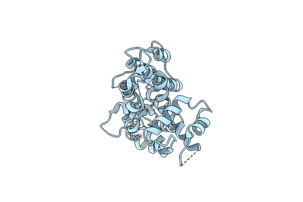 4P5X image