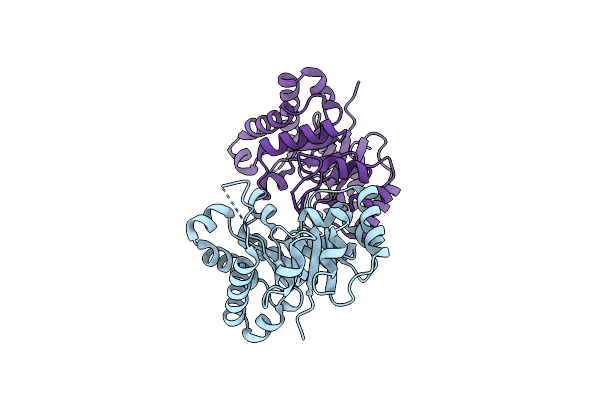 4P61 image