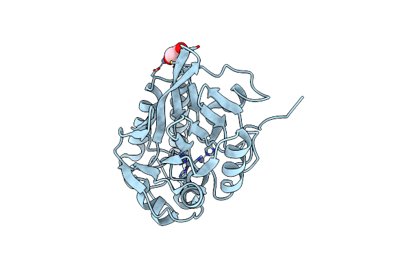 4P62 image