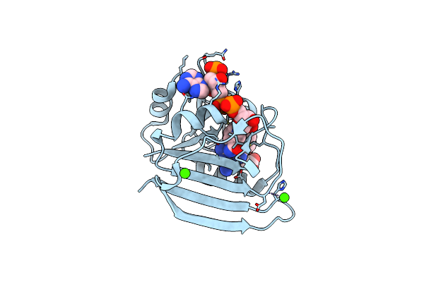 4P66 image