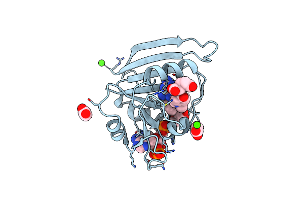 4P68 image
