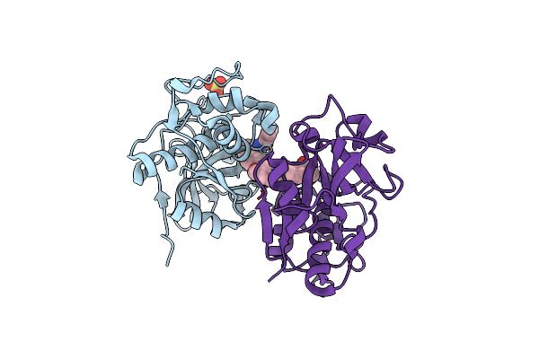 4P6E image