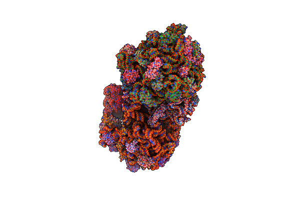 4P6F image