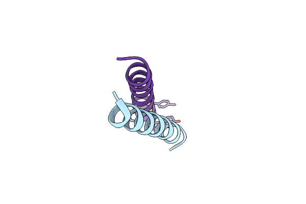4P6J image