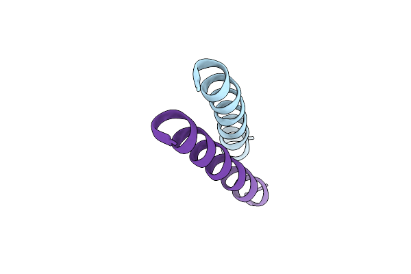 4P6L image