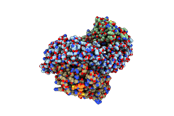 4P6Z image