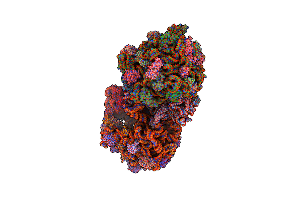 4P70 image