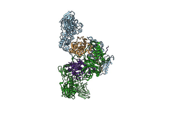 4P71 image