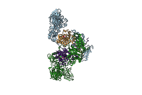 4P72 image