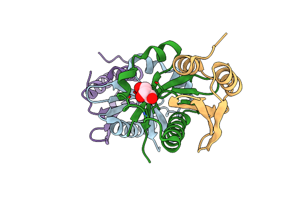 4P78 image