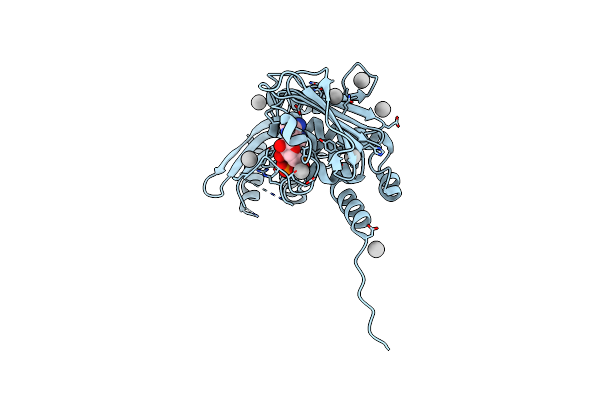 4P7A image