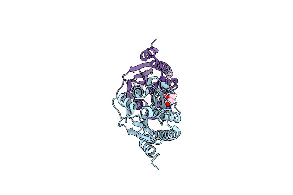 4P7B image