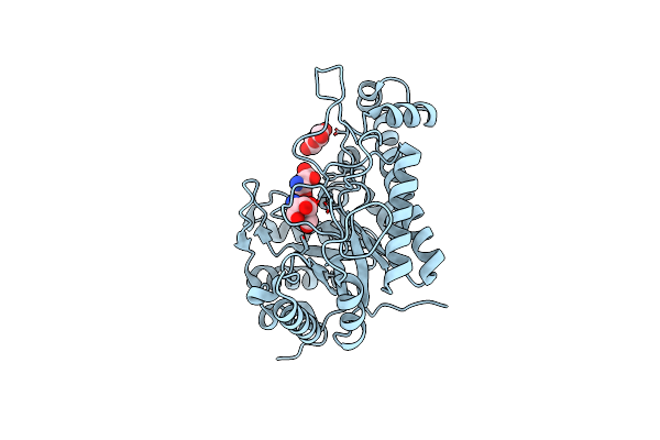 4P7N image