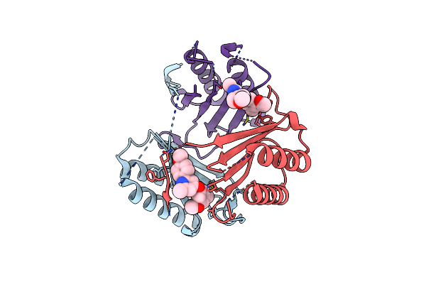 4P7S image