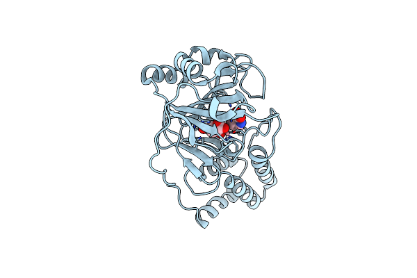 4P7W image