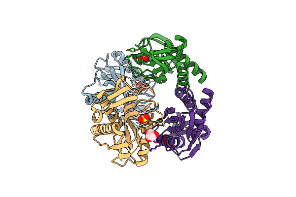 4P81 image